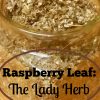 This Tea is for Ladies: Raspberry Leaf & Peppermint Tea - The Sparrow's ...