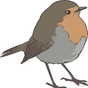 The Sparrow's Home...Gathering and sharing all things "home" because we need each other. thesparrowshome.com
