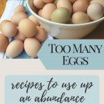 When we had backyard chickens I always had more eggs than I knew what to do with. This is a fantastic collection of recipes for when you have LOTS of EGGS!