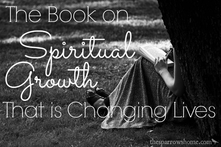 I have never taught material that so resonated with people. This book on spiritual growth is an easy read, but challenges you to examine and take action.