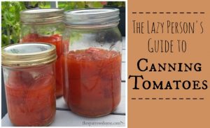 If you are interested in canning tomatoes without all the fuss...this is perfect!