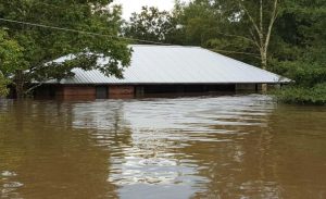 The flooding in Louisiana is devastating, and is not being covered in most news media around the country. We are a people of strength. Let's come together and pray and help one another.