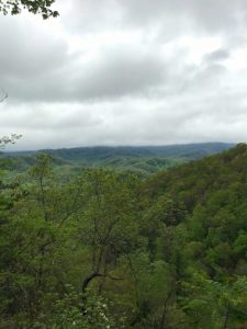 A trip to lovely Pigeon Forge, TN for a Christian conference.