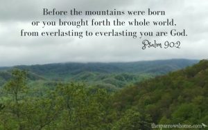 A trip to lovely Pigeon Forge, TN for a Christian conference.