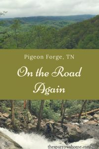A trip to lovely Pigeon Forge, TN for a Christian conference.