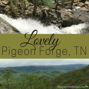 A trip to lovely Pigeon Forge, TN for a Christian conference.