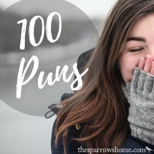 100 Puns to Make You Roll Your Eyes, Groan, and Shake Your Head