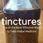 Making a tincture is an easy process to get maximum benefit from many herbal remedies